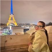 Cerchi aiuto con lo studio? Offro ripetizioni a tutti i livelli